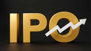 Capital Market & IPO